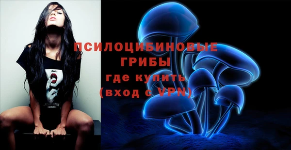 СК Абдулино