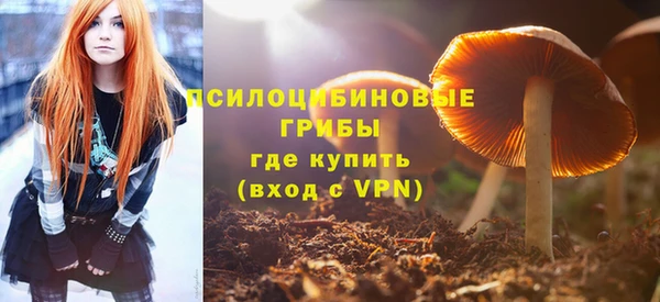 СК Абдулино