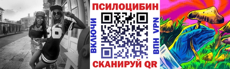 Псилоцибиновые грибы мицелий  наркошоп  Сокол 