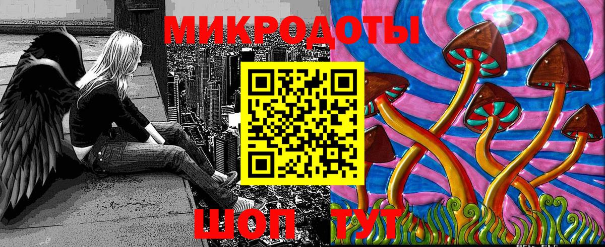 Галлюциногенные грибы Psilocybe  Вход с VPN  Сокол 