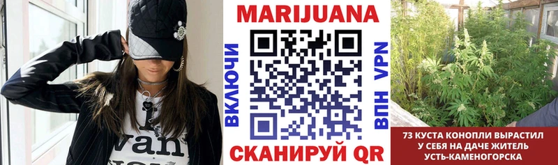 Канабис семена  что такое наркотик  Сокол 